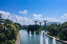 Blick auf Singapur: Gardens by the bay