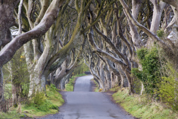 Game-of-Thrones-Drehort in Nordirland