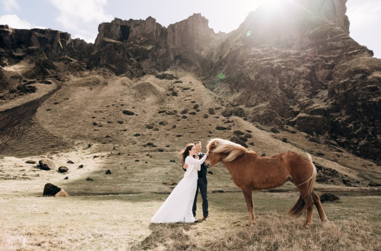 Ein Hochzeitspaar streichelt auf Island ein Pferd.