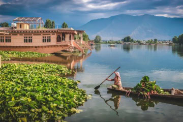 Boot im Dal Lake in Srinagar, Indien