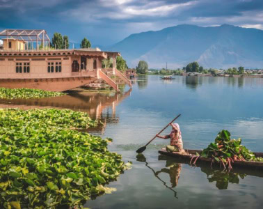 Boot im Dal Lake in Srinagar, Indien