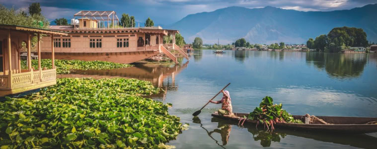 Boot im Dal Lake in Srinagar, Indien