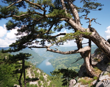 Drina Nationalpark in Serbien