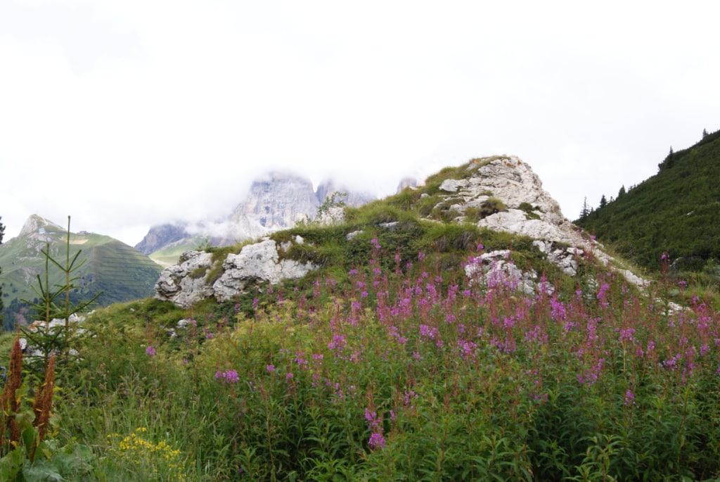 Mit dem Porsche durch Südtirol: Vorbei an Blumen, Pflanzen und Bergen
