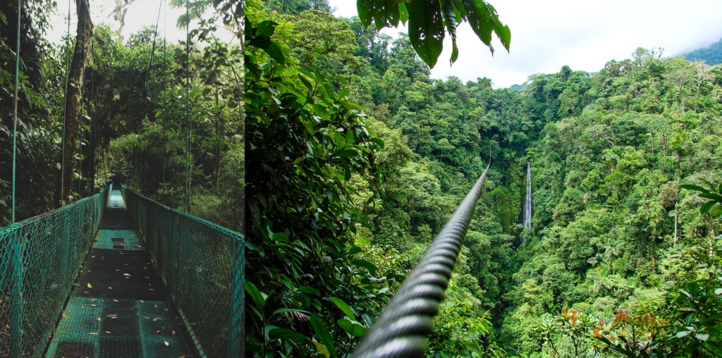 Der Nebelwald von Monteverde verspricht Action z.B. beim Ziplining