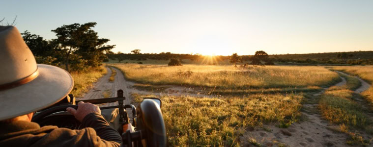 Safaritour im Sabi Sands Reservat in Südafrika