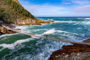 Hängebrücke im TsitsiKamma Nationalpark auf der Garden Route in Südafrika