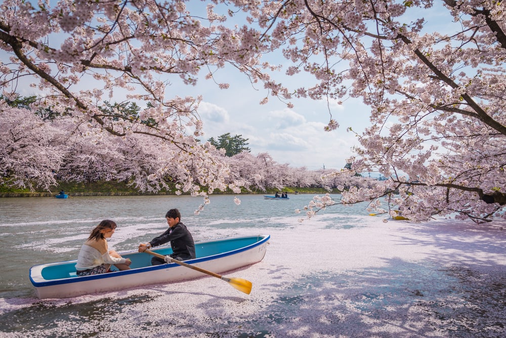 Kirschblüte in Japan: Paar im Boot auf dem Fluss