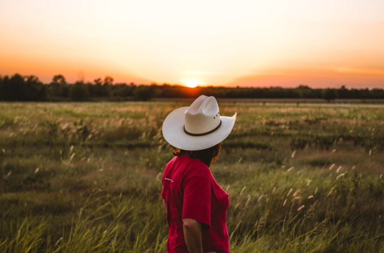 Unterwegs in South Dakota: Cowgirl blickt in die Landschaft