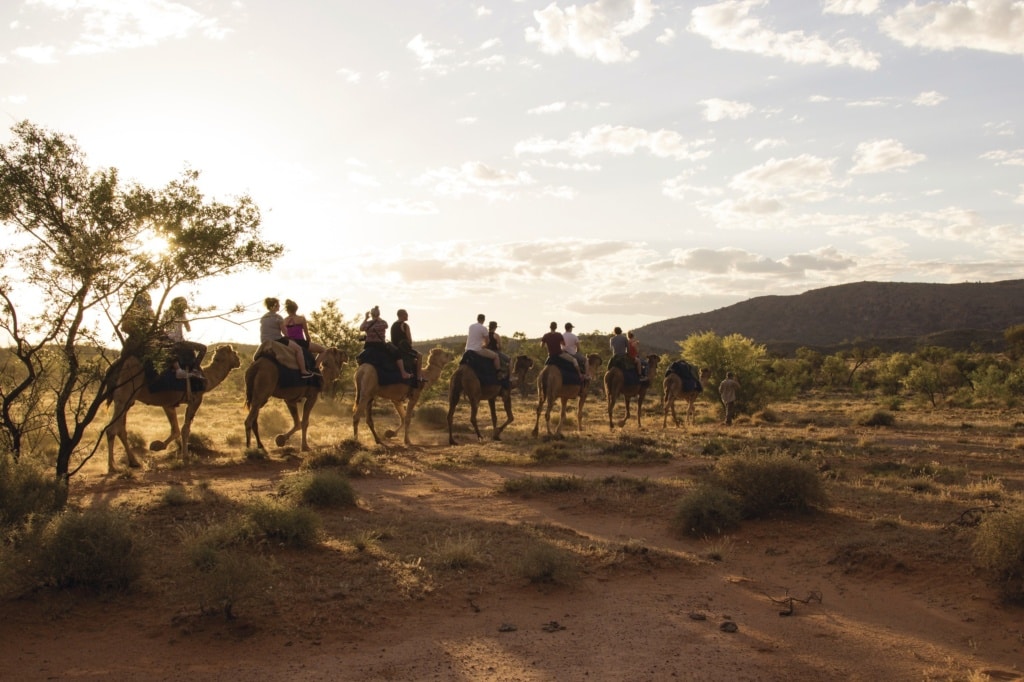 Kameltour in den West Macdonnell Ranges bei Alice Springs