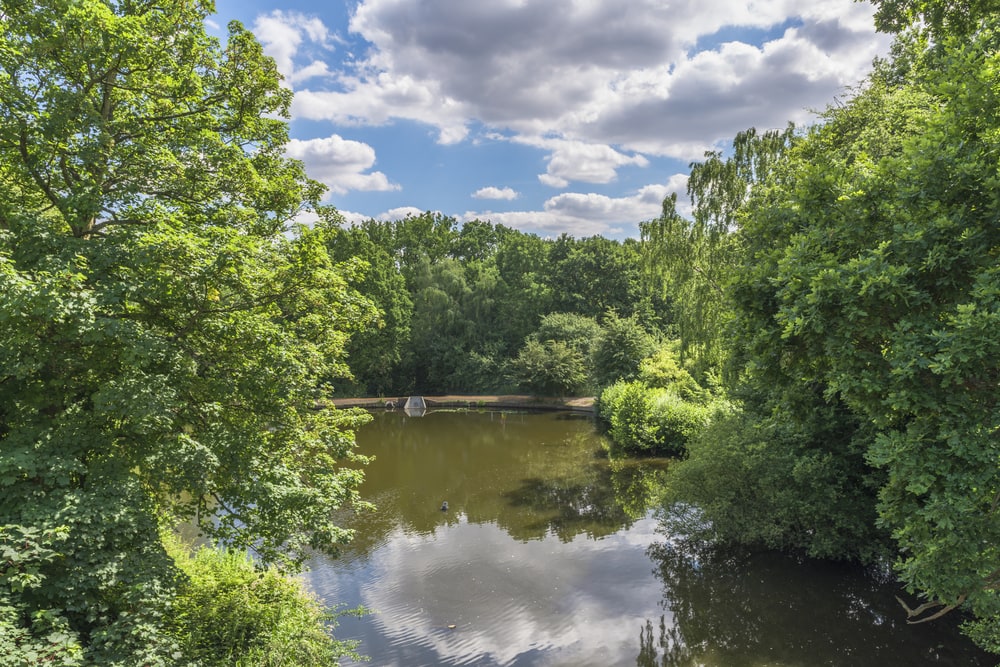 schönsten Open-air-Badeorte in London: Hampstead Heath Ponds
