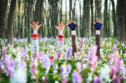 Mädchenhände ragen aus Blumenwiese hervor