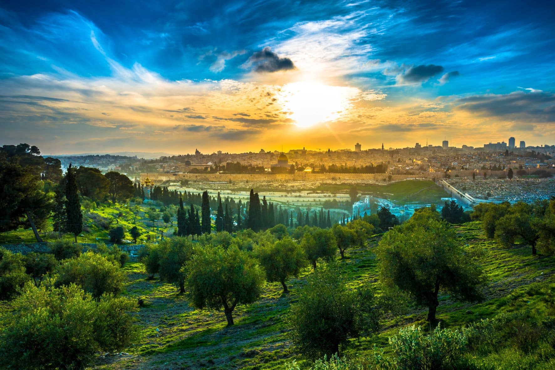 Aussicht auf die Altstadt von Jerusalem vom Olivenberg mit Olivenbäumen