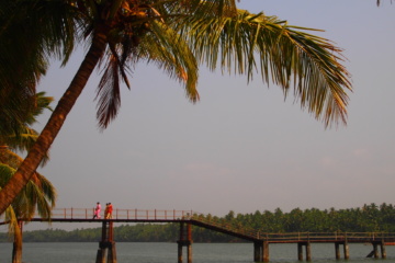 Backwaters in Kerala