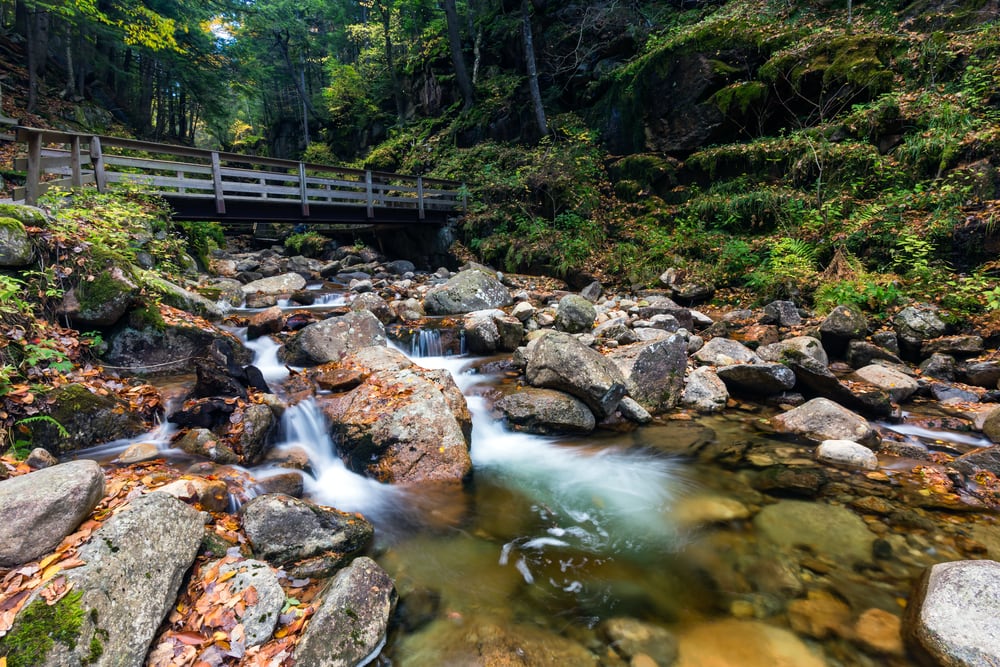 Franconia-Wasserfälle in New Hampshire