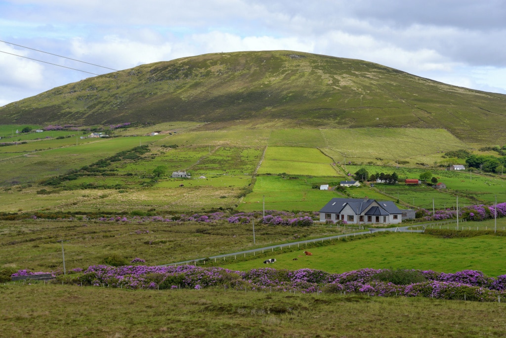 Erris Head ganz im Westen Irlands zeigt das Land von seiner ursprünglichen Seite, so wie hier im Ballycroy National Park.