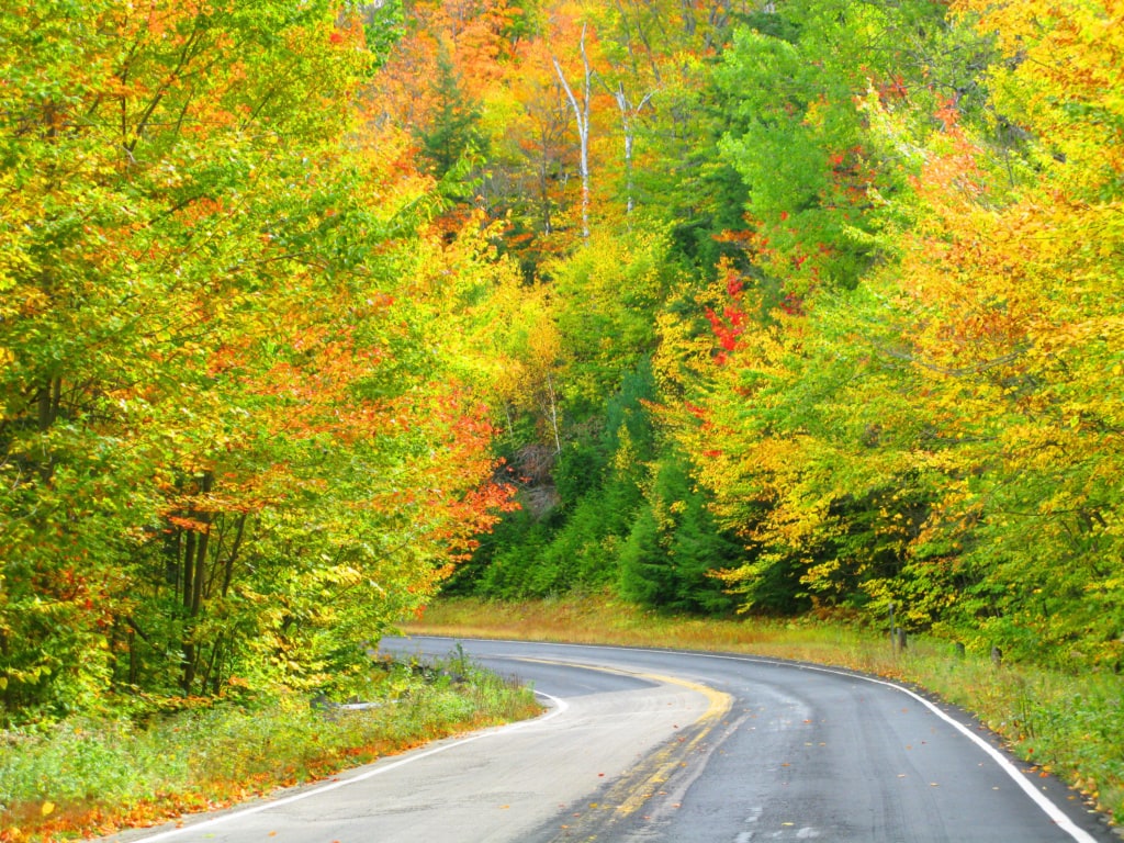 Straße auf dem Kancamagus Highway in New Hampshire