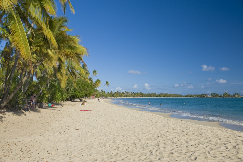 Martinique - Grande Anse des Salines
