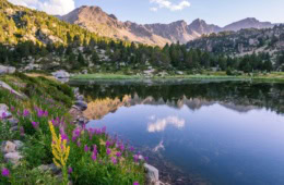 Estany Primer See in Andorra