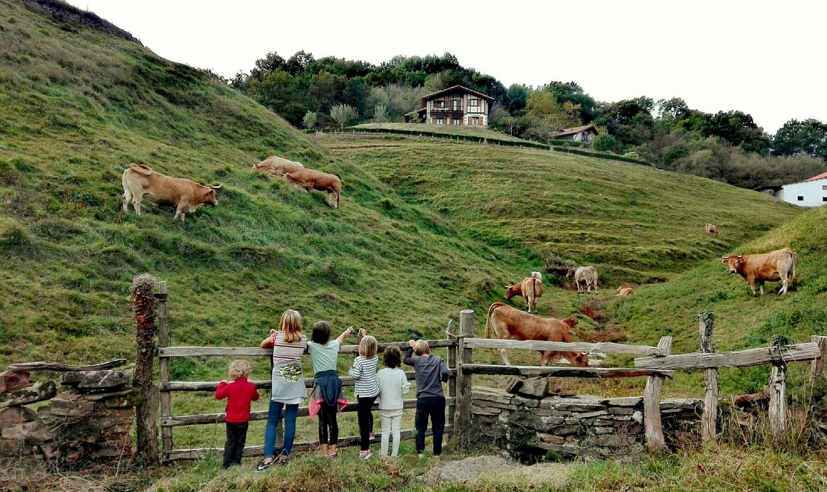 Kinder auf Bauernhof Valle de Baztan