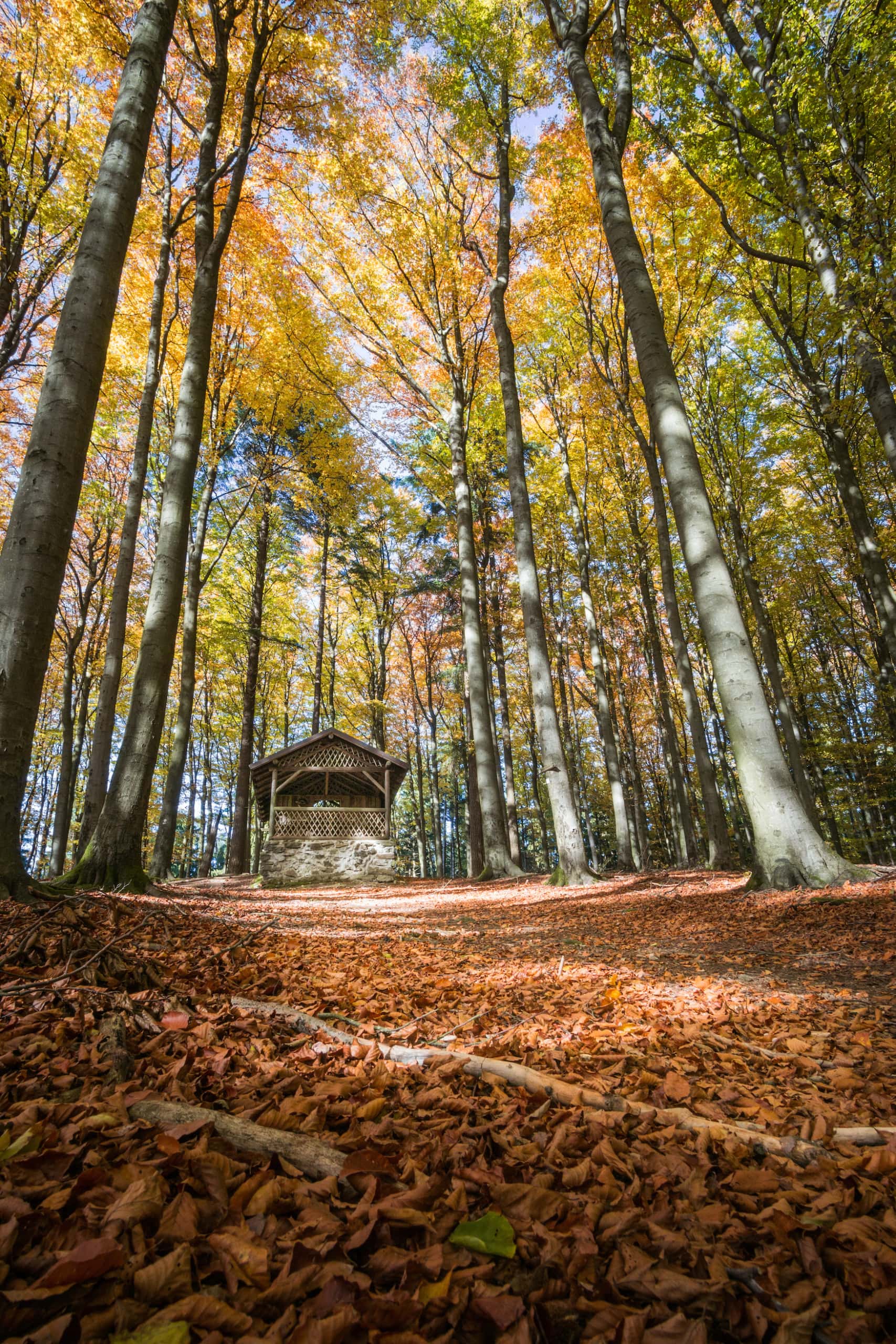 Holzhütte im Oberpfälzischen Wald im Herbst
