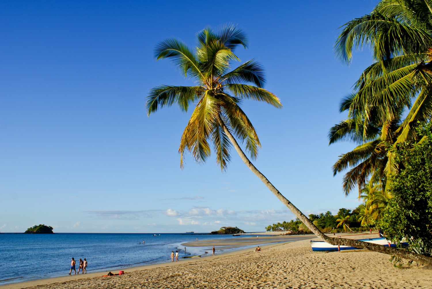 Tropischer Strand mit hellem Sand und Palme