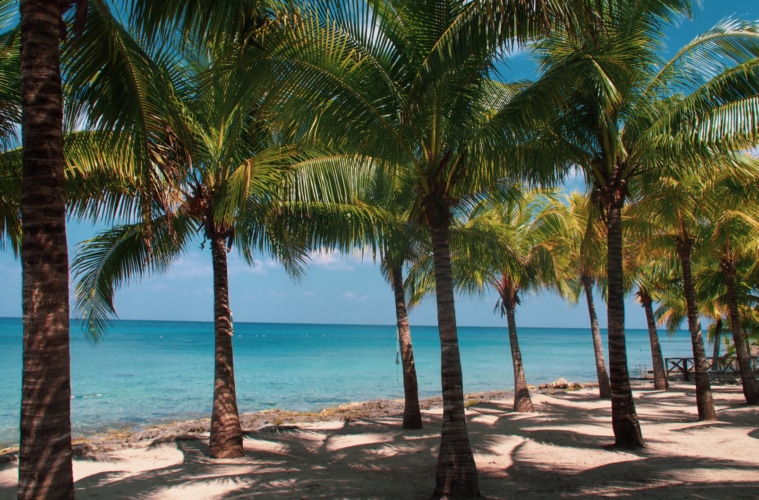 Strand mit Palmen in Yukatan