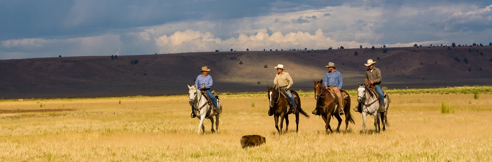 Cattle Ranch in Paulina, Oregon