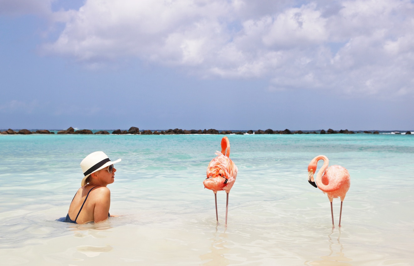 Flamingo Beach auf Aruba