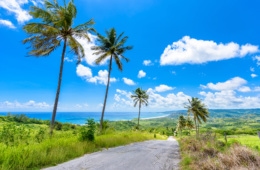 Am besten erkundet man die Karibikinsel Barbados bei einem Roadtrip.