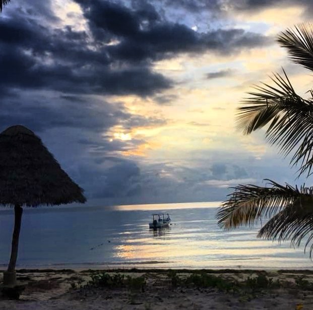 @martinunterwegs am schönen Strand am Indischen Ozean. Davor hat er Tansania in all seinen Facetten erlebt.
#reportervorort #travelgram #passionpassport #instatravel #mytinyatlas