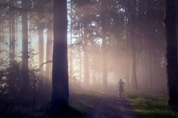 Mountainbikefahrer im Wald