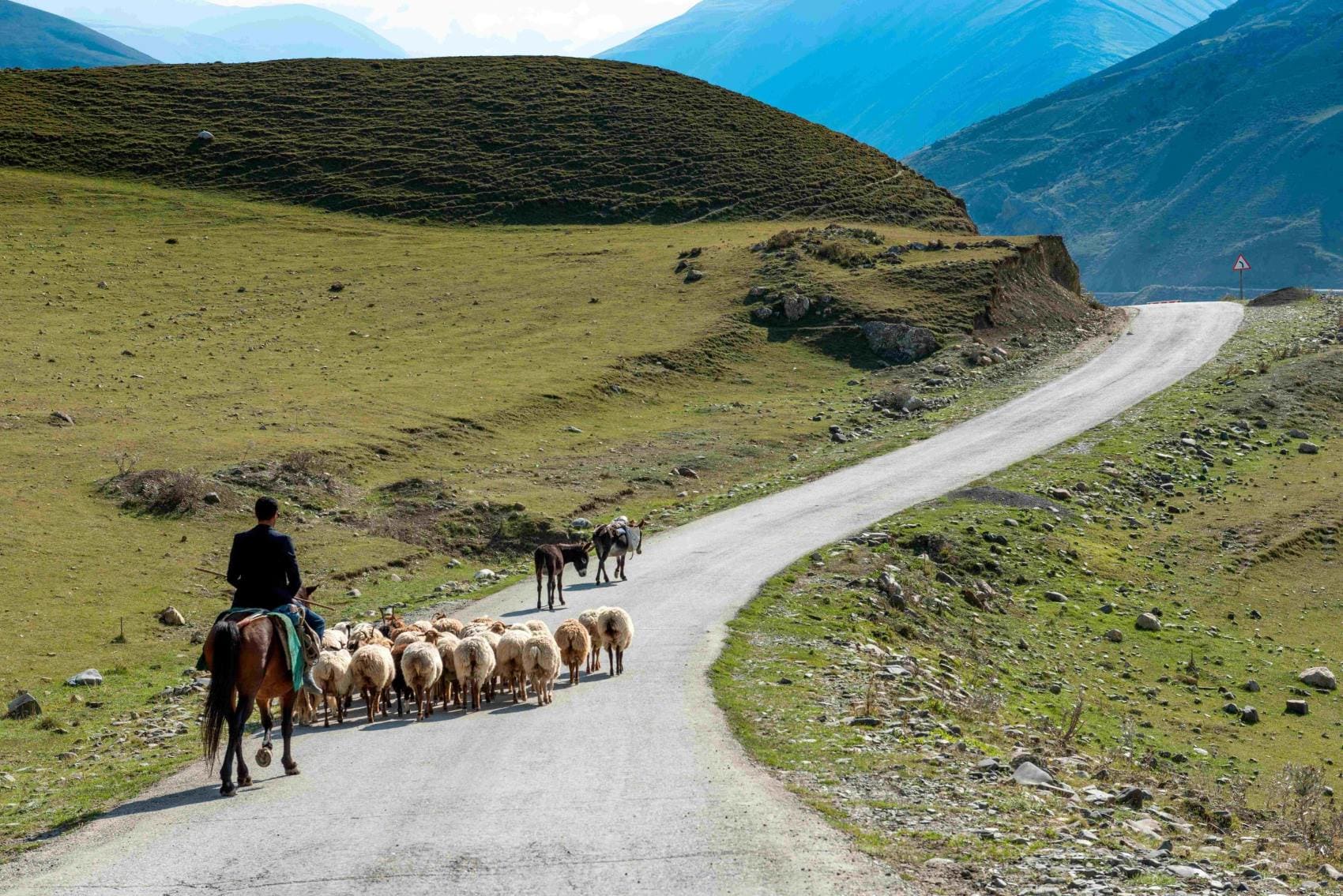 Hirte mit Schafsherde in Khinalig, Aserbaidschan 