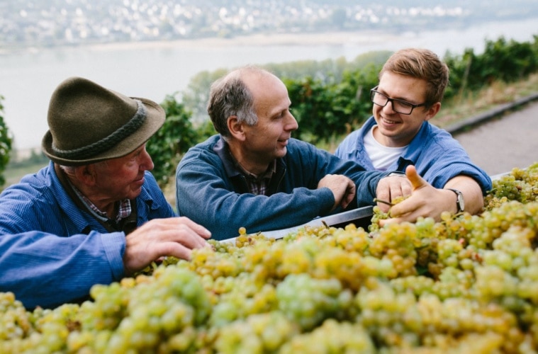 Winzer im Gespräch vor einem Behälter mit weißen Weintrauben
