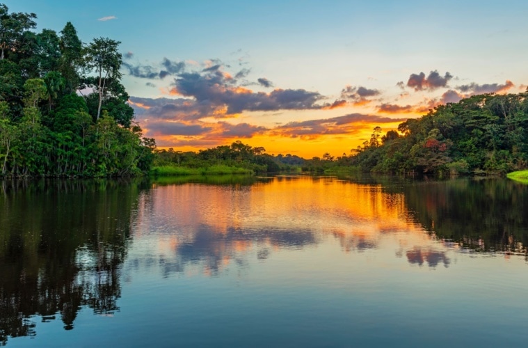 Fluss im Dschungel Guyanas