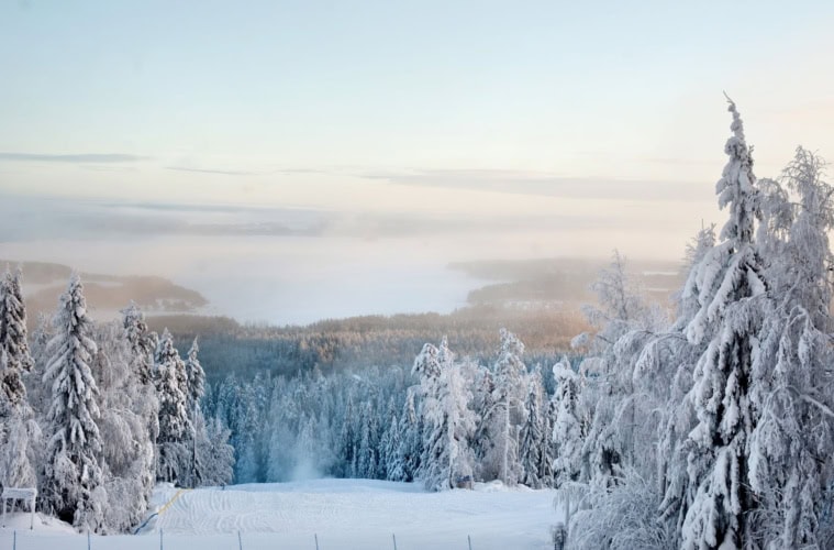 Winterlandschaft in Vuokatti in Finnland