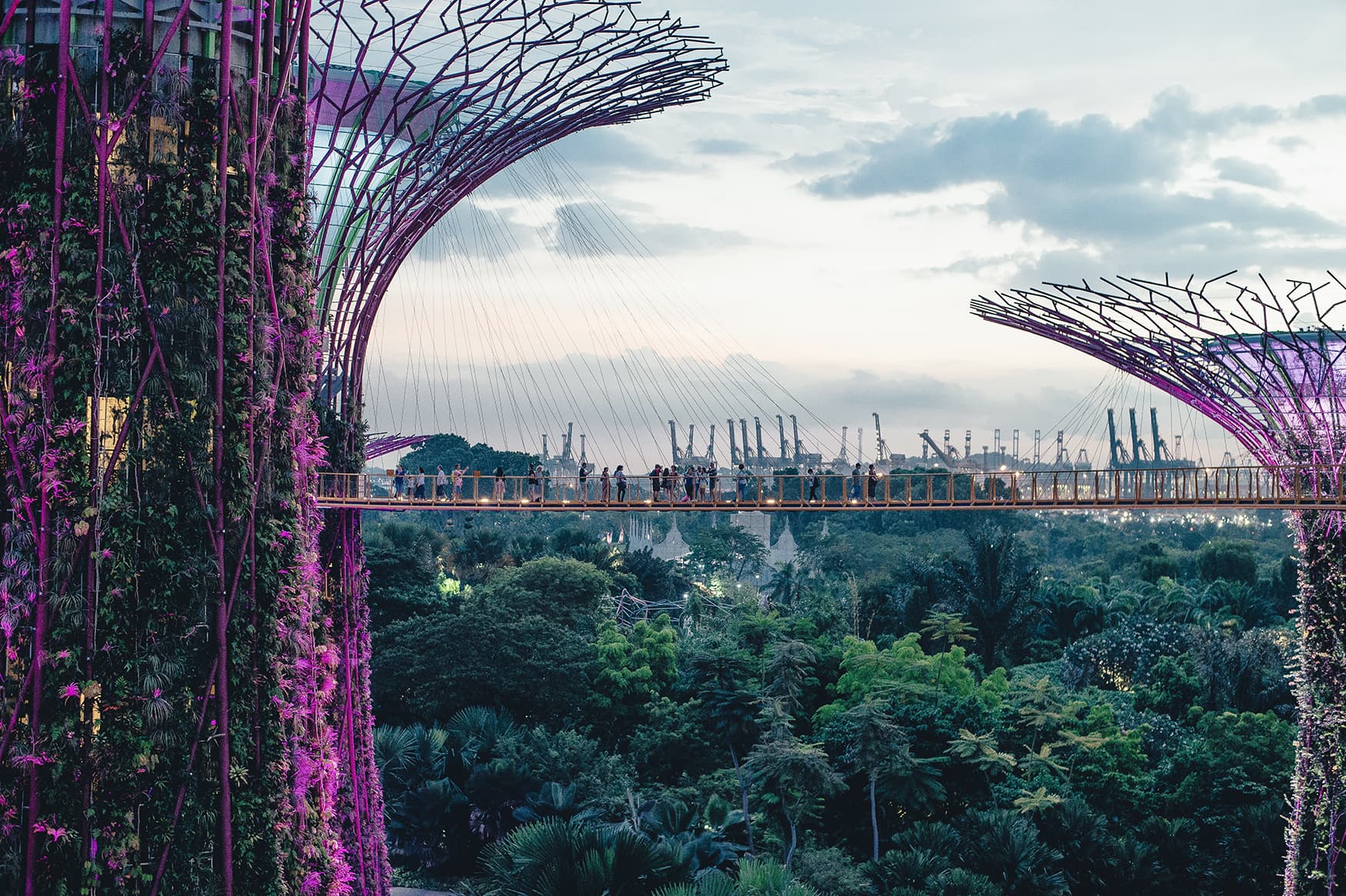 Gardens by the Bay in Singapur