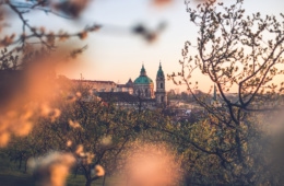 Prag in goldenem Licht
