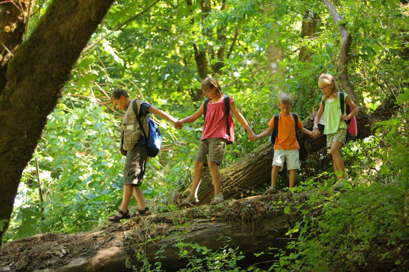 Kinder beim Wandern im Wald