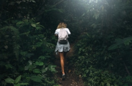 eine junge Frau mit lockigem Haar und einem Rucksack, die an einem Sommertag durch einen dunkelgrünen Tropenwald wandert.