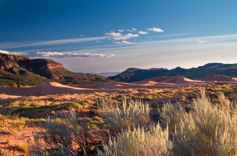 Coral Pink Sanddunes Utah