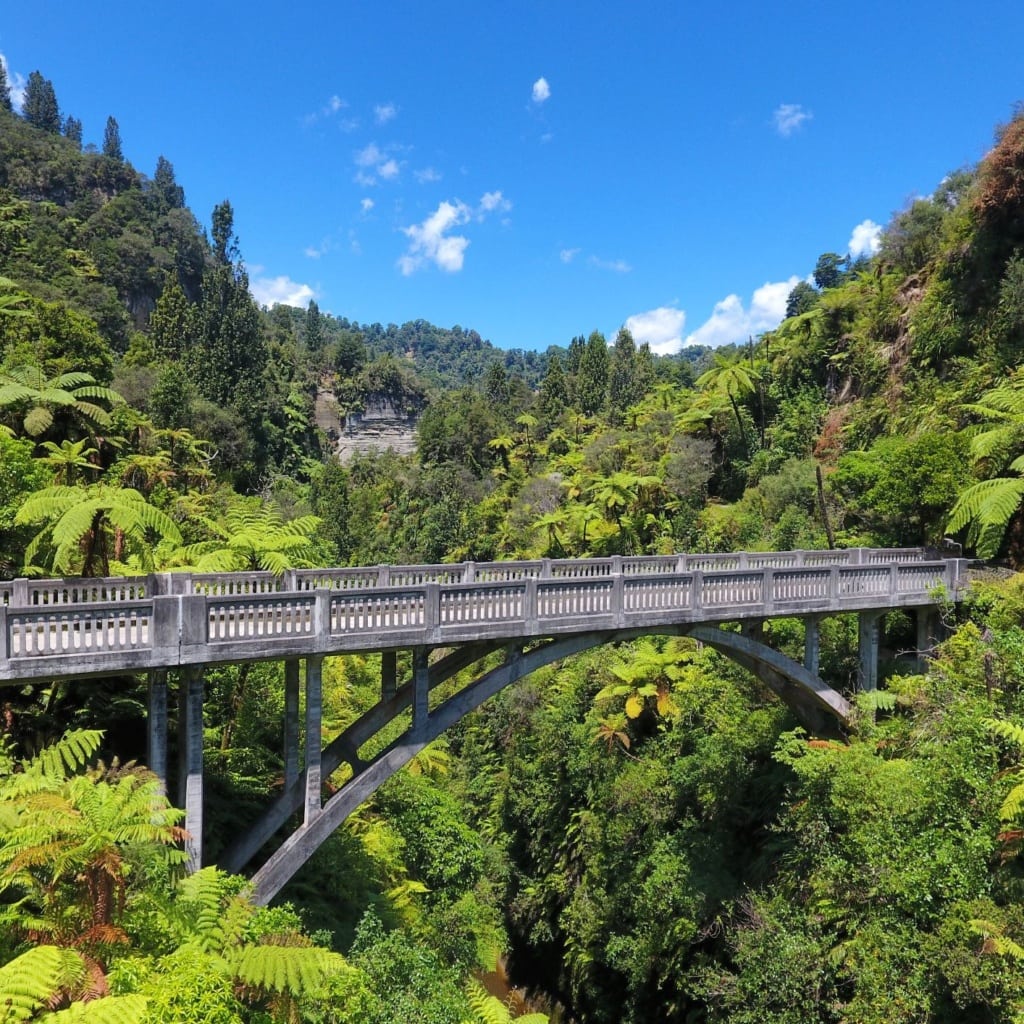 Bridge to Nowhere ist eine Betonbrücke, die den Mangapurua Stream überspannt