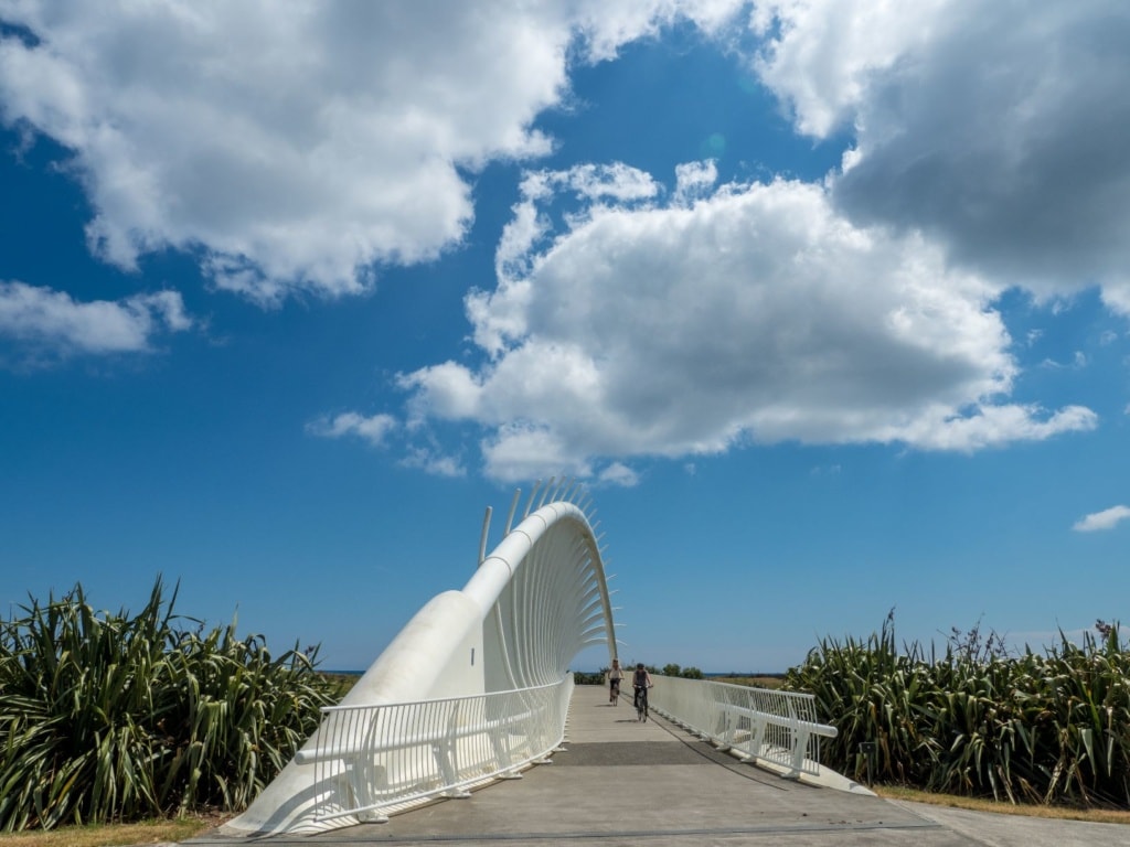 Te Rewa Rewa Brücke