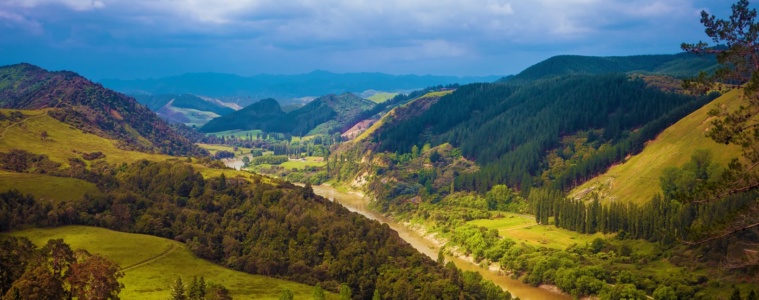 Whanganui River Landschaft