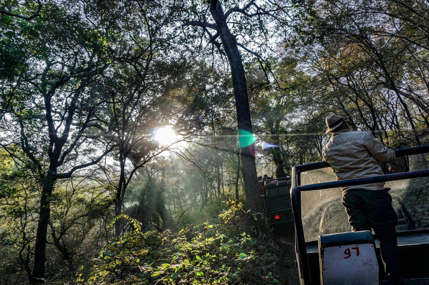 Jeepsafari im Ranthambore Nationalpark in Indien 