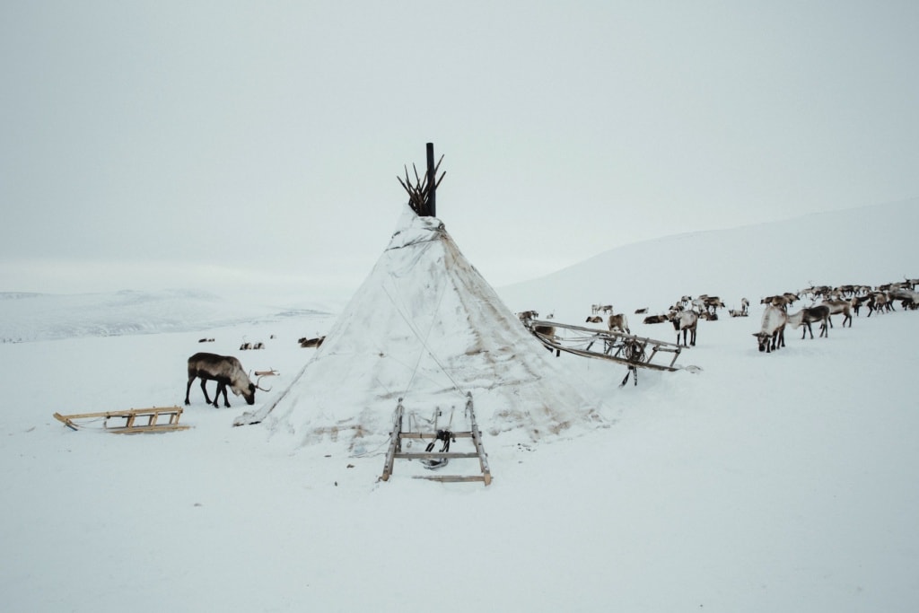 Instagram-Reisen: Russland Rentierexpedition in Best Escapes