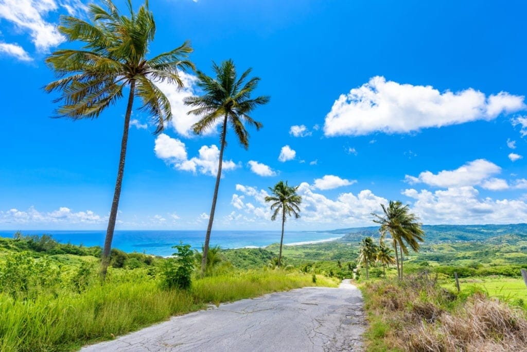 Straße auf Barbados