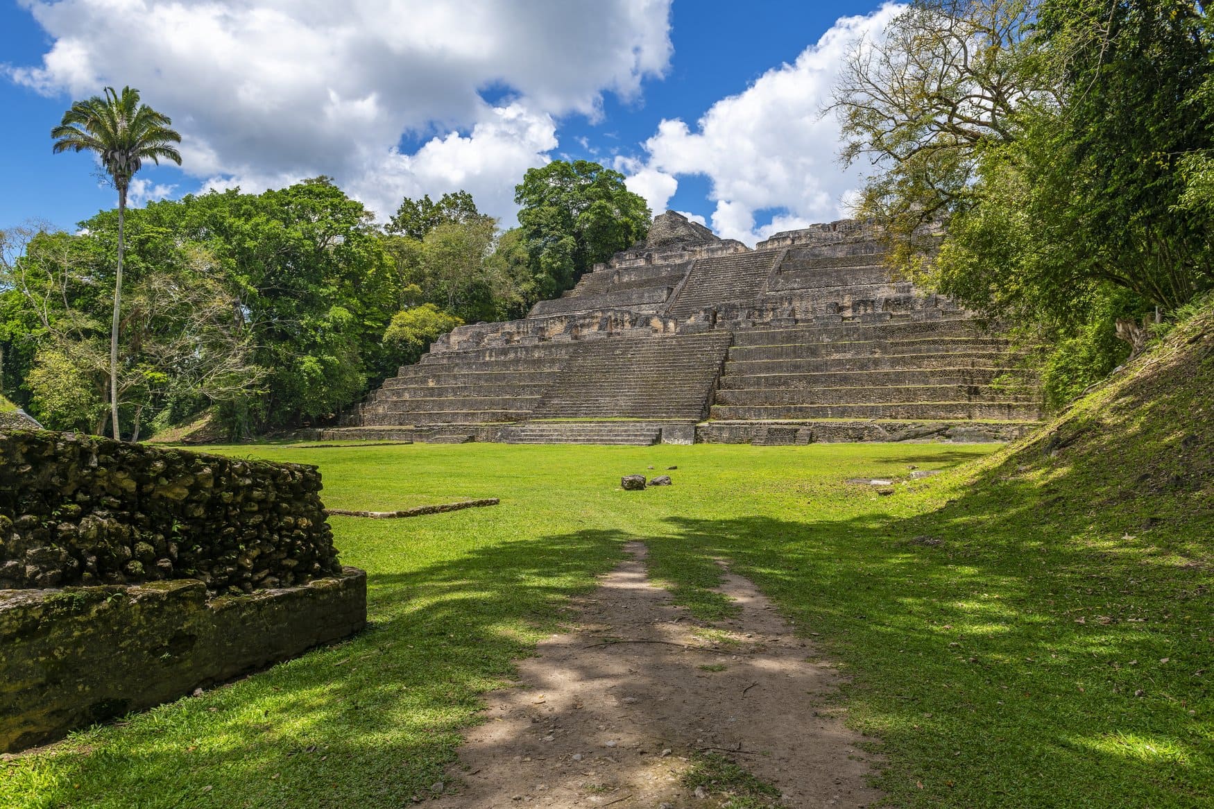 Luftaufnahme der überwucherten Maya-Pyramide Caana in Caracol in Belize, deren Steinstufen mit einer Holztreppe aus dem dichten grünen Regenwald ragen.