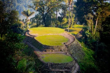 Die Steinterrassen der Ciudad Perdida in Kolumbien im Regenwald, verbunden durch Treppen und Wege, umrahmt von hohen Palmen und dichtem Grün.