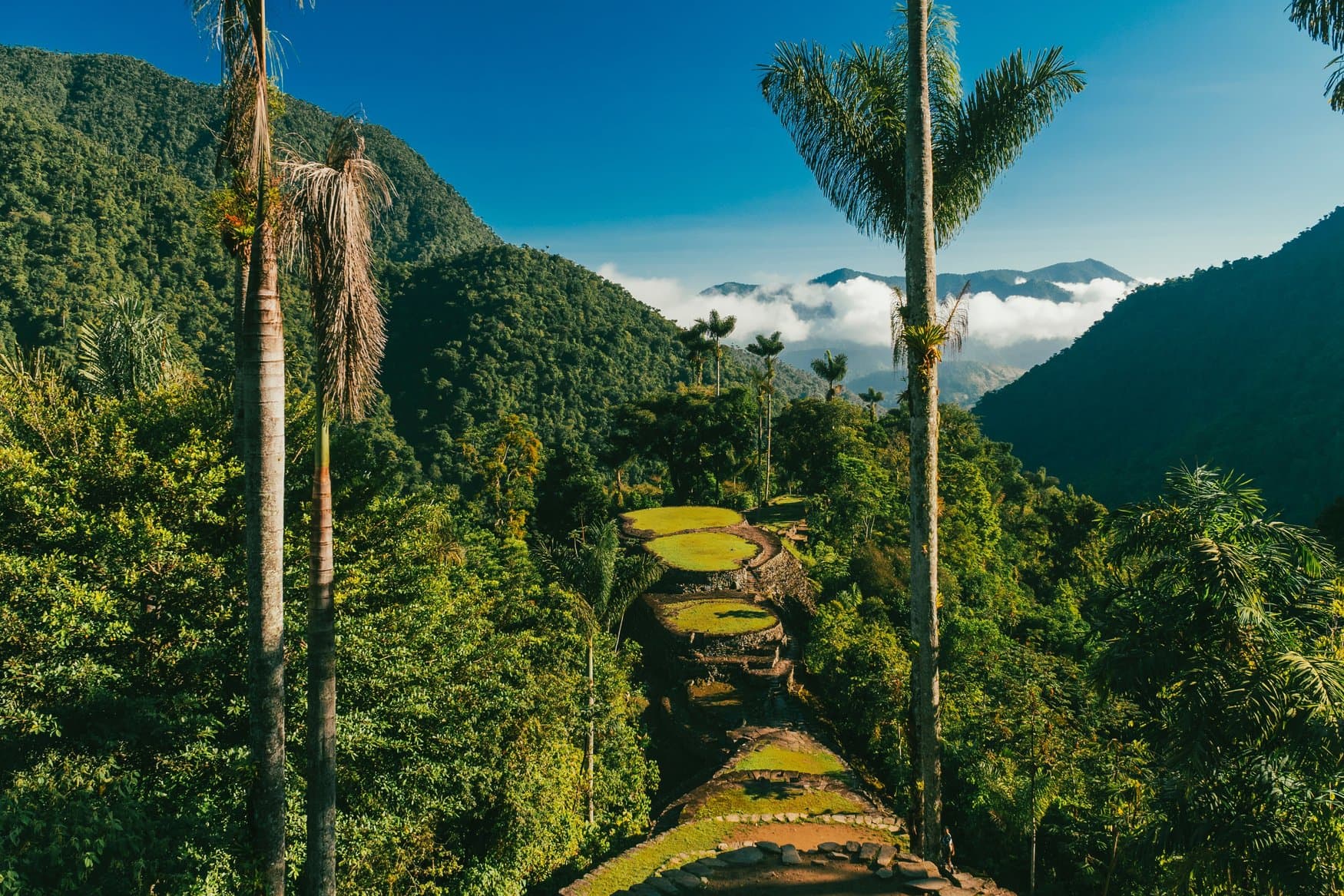 Blick über die Terrassen der Ciudad Perdida in Kolumbien mit runden Steinplattformen im Grün, umgeben von bewaldeten Bergen und hohen Palmen unter blauem Himmel.